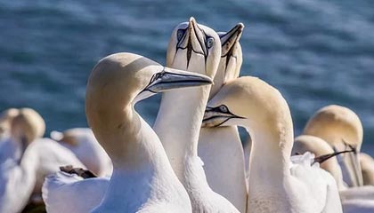 令人意外！中方婉拒普京提议，俄专机火速起飞，普京紧急派人来华