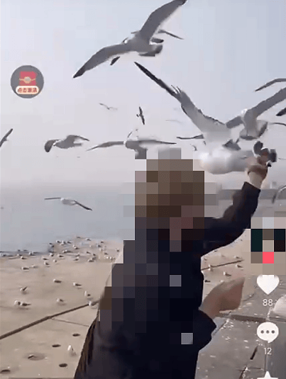 事发大连星海湾！年轻男子竟干出这事…网友怒了