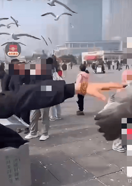 事发大连星海湾！年轻男子竟干出这事…网友怒了