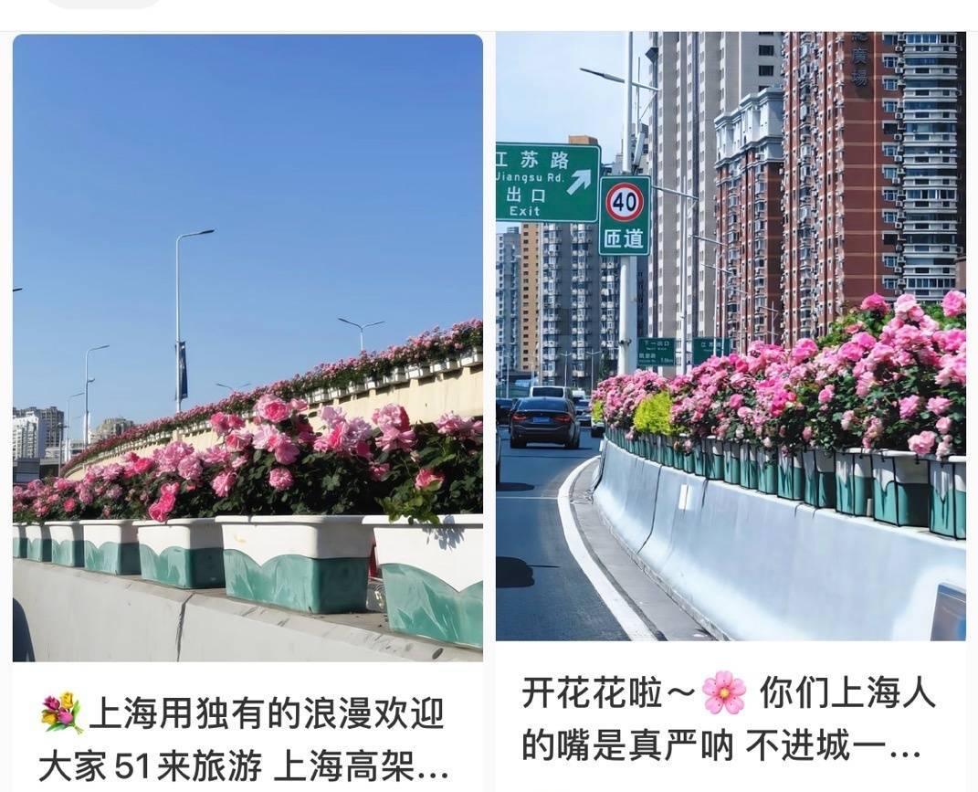 上海人快抬头！高架上这幕被刷爆！有人吐槽太浪费？这笔开销算明白了