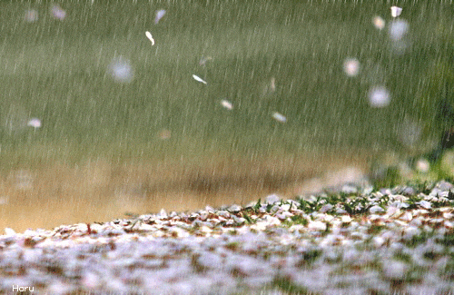 冷冷的秋雨要来啦！明显降温！通州最新预报