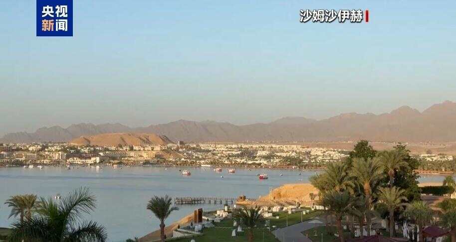 早安!世界丨哈马斯：与以间接谈判取得积极进展；2025年诺贝尔生理学或医学奖揭晓