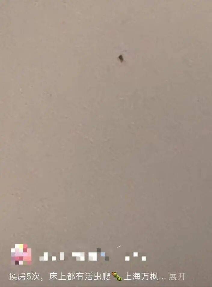 被投诉“连换5次房床上都有虫爬”，涉事高档酒店回应