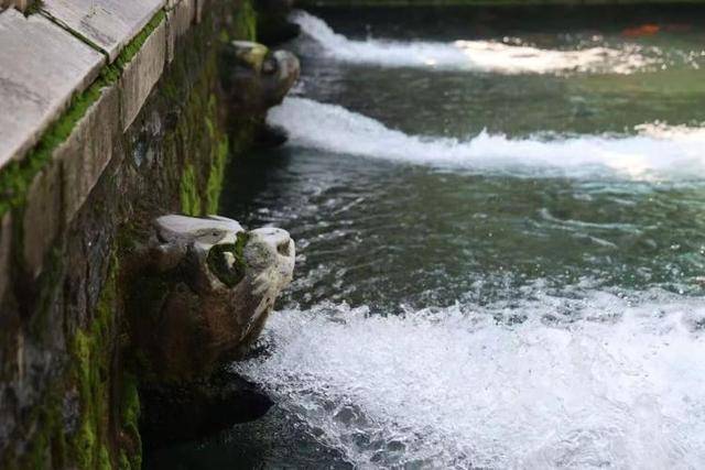 黑虎泉喷得“兽头”都不够用了!济南群泉竞涌,几十年一见