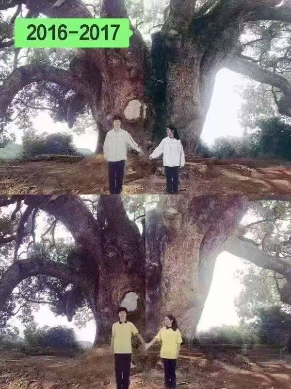 岳阳情侣连续9年在家乡千年古樟树下合影,今年国庆终修正果:希望爱情像古树一样长久