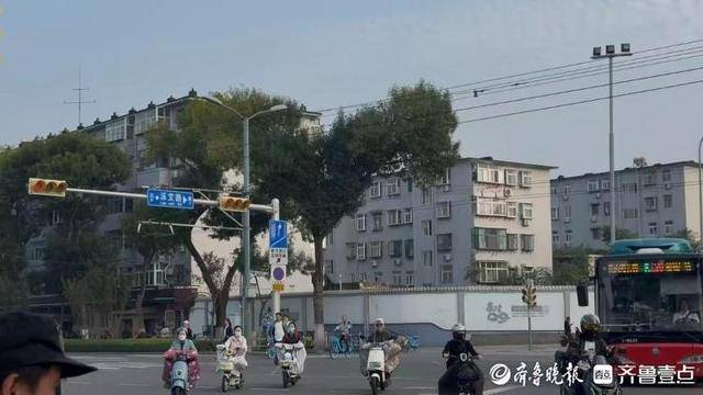 济南街头“恐龙树”走红，园林部门：形态天成，或随天气而变