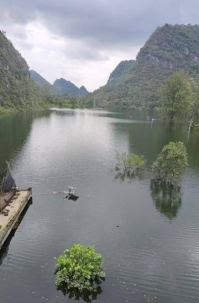 百色多个村庄被困水中已超半月,长涝难退为何重演?