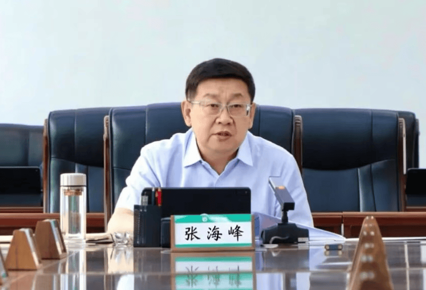 涉嫌严重违纪违法,张海峰被查