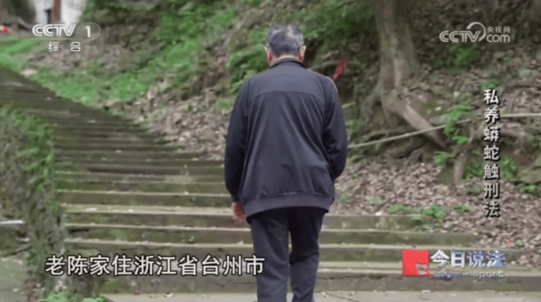 浙江男子在家里养300多条蟒蛇,涉案3000万,抓蛇现场,民警直呼毛骨悚然;男子:太痴迷了,感觉自己在造物