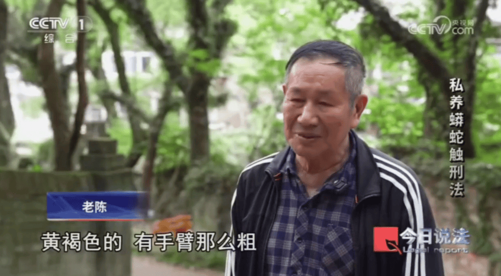 浙江男子在家里养300多条蟒蛇,涉案3000万,抓蛇现场,民警直呼毛骨悚然;男子:太痴迷了,感觉自己在造物