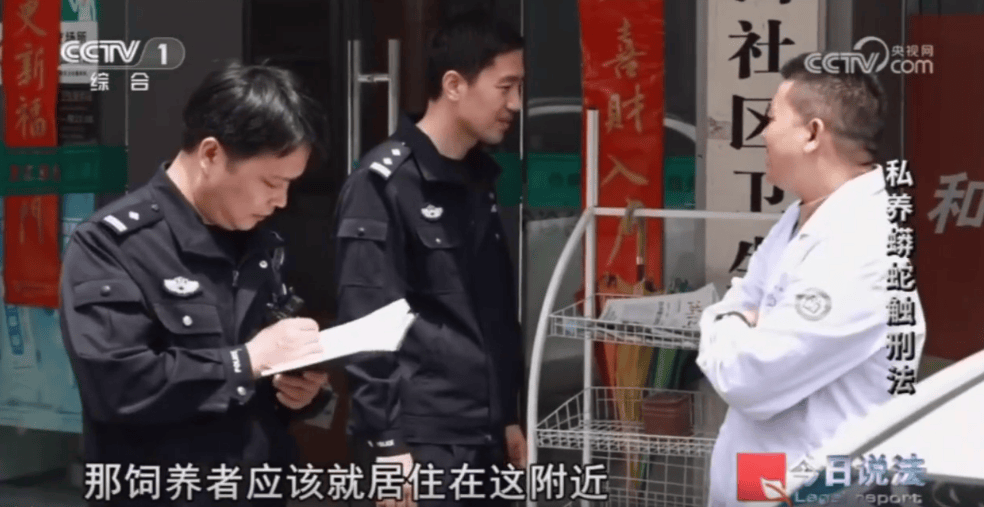 浙江男子在家里养300多条蟒蛇,涉案3000万,抓蛇现场,民警直呼毛骨悚然;男子:太痴迷了,感觉自己在造物