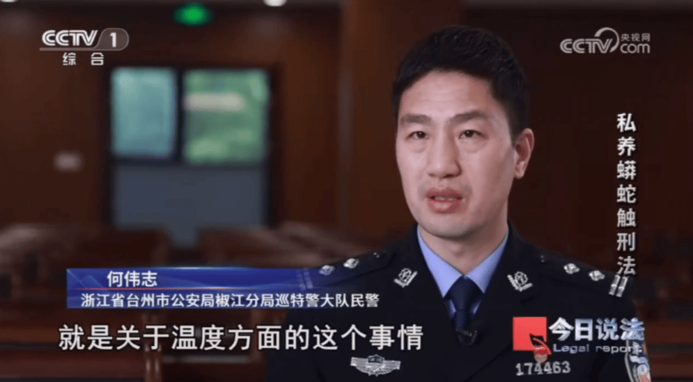 浙江男子在家里养300多条蟒蛇,涉案3000万,抓蛇现场,民警直呼毛骨悚然;男子:太痴迷了,感觉自己在造物