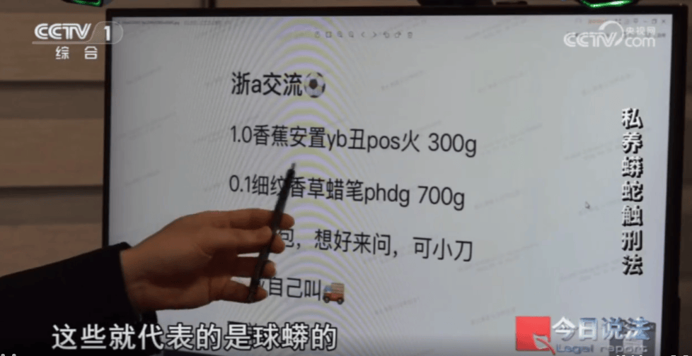 浙江男子在家里养300多条蟒蛇,涉案3000万,抓蛇现场,民警直呼毛骨悚然;男子:太痴迷了,感觉自己在造物