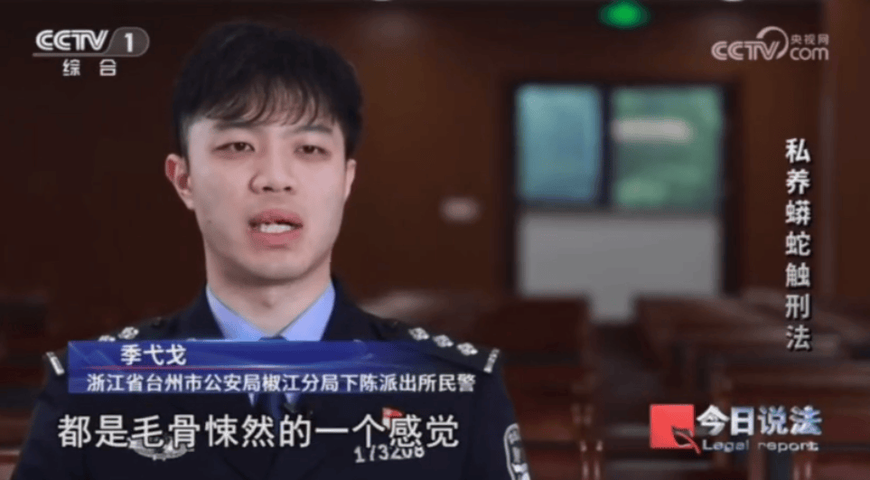浙江男子在家里养300多条蟒蛇,涉案3000万,抓蛇现场,民警直呼毛骨悚然;男子:太痴迷了,感觉自己在造物