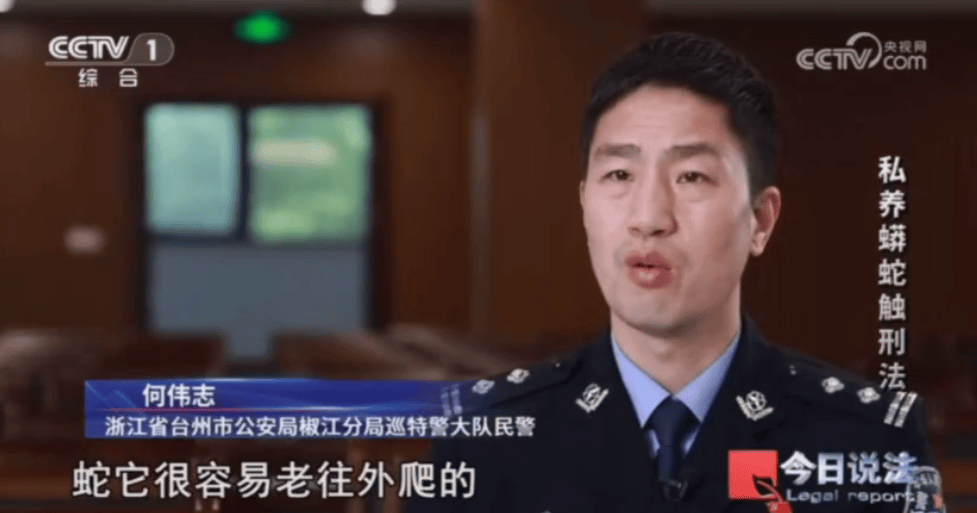 浙江男子在家里养300多条蟒蛇,涉案3000万,抓蛇现场,民警直呼毛骨悚然;男子:太痴迷了,感觉自己在造物