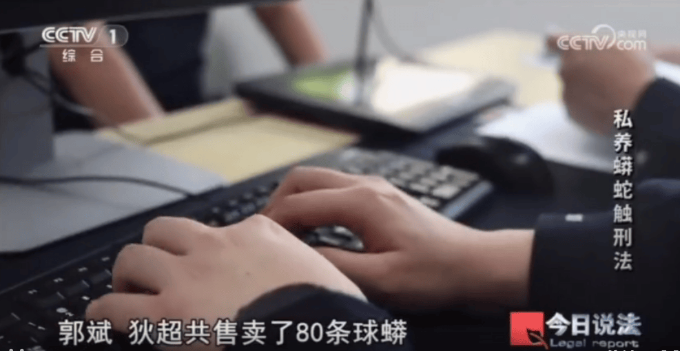 浙江男子在家里养300多条蟒蛇,涉案3000万,抓蛇现场,民警直呼毛骨悚然;男子:太痴迷了,感觉自己在造物