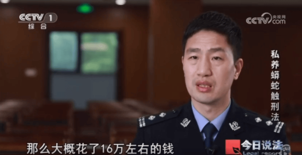 浙江男子在家里养300多条蟒蛇,涉案3000万,抓蛇现场,民警直呼毛骨悚然;男子:太痴迷了,感觉自己在造物