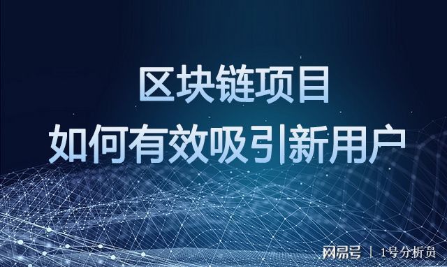区块链项目(区块链项目网)