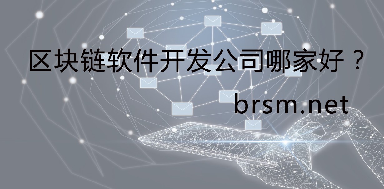区块链软件(区块链软件测试)