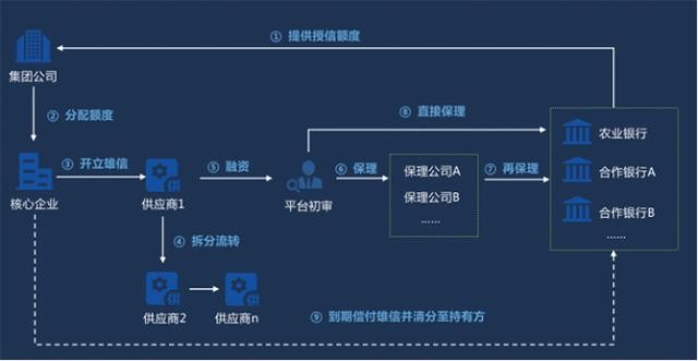 区块链组织(区块链组织的基本特征)