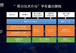 区块链项目(区块链项目的价值由什么决定)